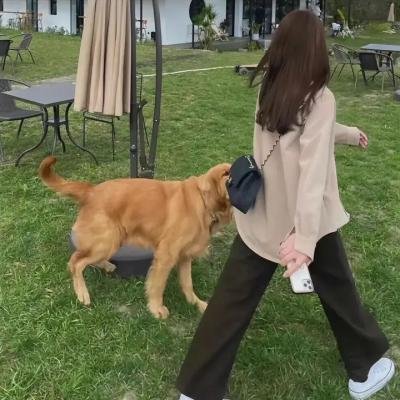 在首领猎人的土地上