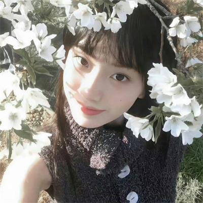 达西玛姨娘